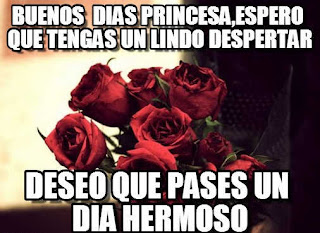 Imagenes De Rosas Con Buenos Dias