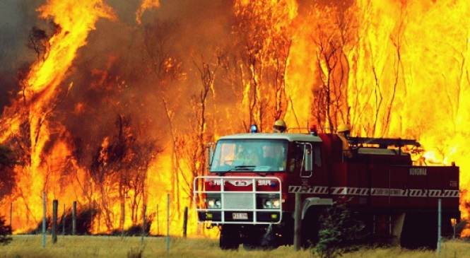Teror Api Misterius di Gunung Kidul yang Membingungkan