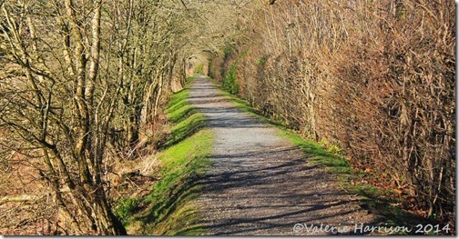 28-river-dee-walk