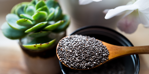 The Nutritional Powerhouse: The Benefits of Chia Seeds