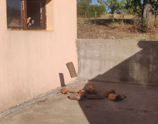 Throwing wood out of the window