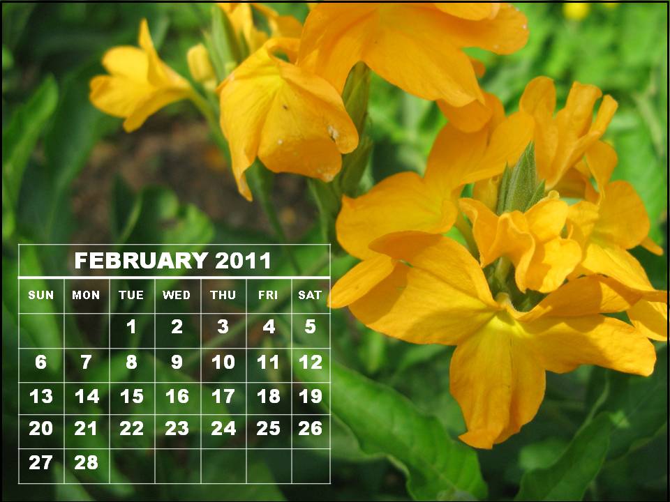 2011 calendar printable february. 2011 calendar printable