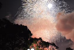 大濠公園花火大会16 Ohorikoen Fireworks 16 Portal Bj