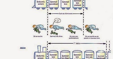 Pour Un Accueil A La Pikler Compte Rendu Le Sommeil Du Jeune Enfant En Collectivite