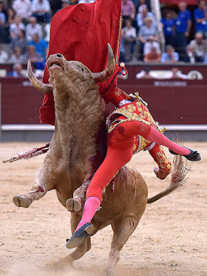 cogida cornada diego carretero torero toro madrid San isidro