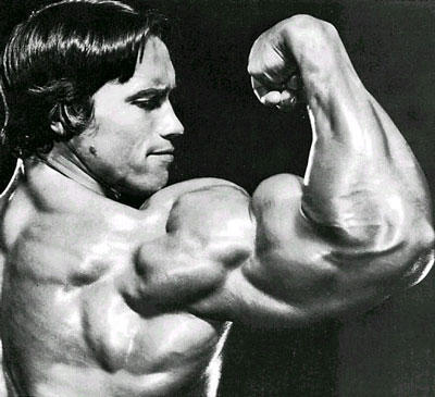 arnold schwarzenegger workout. arnold schwarzenegger workout