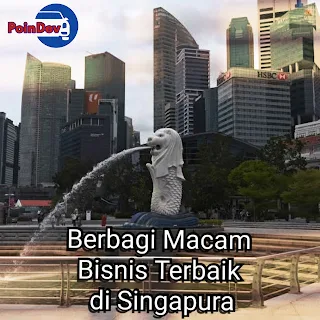 Berbagi Macam Bisnis Terbaik di Singapura - Poindev.site