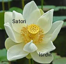 https://soundcloud.com/lesserdevil/satori
