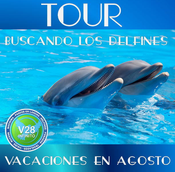 Tour buscando los delfines Agosto 2016 