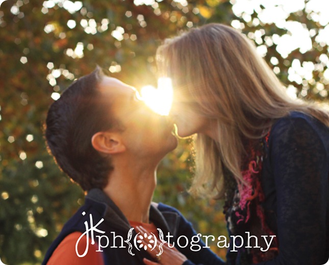 Heart flare weblogo