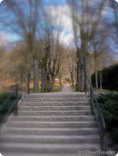 DSCN5436-2