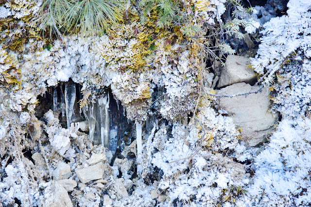 Snow Bhutan