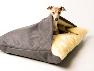  dog beds