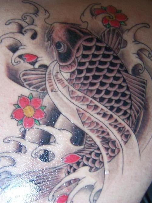 Koi Tattoos Pictures