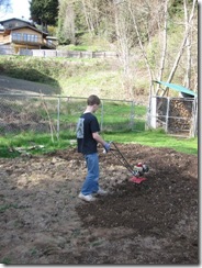 garden tilled 03