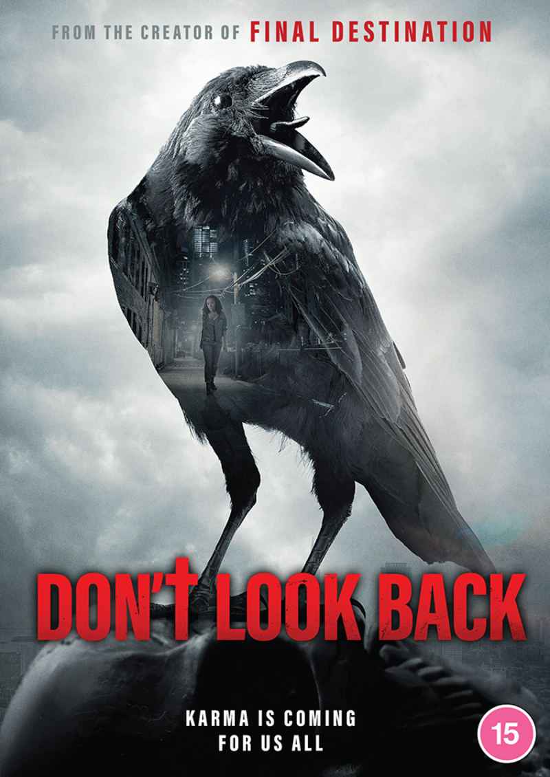 don't look back dvd