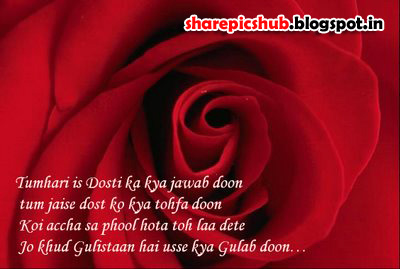 Lovely Dosti Shayari