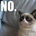 Grumpy Cat Meme saying No