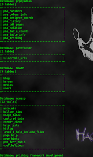 sqlmap-tables-column