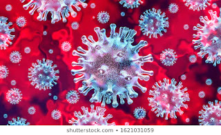 Corona Virus, Remedies of Corona Virus