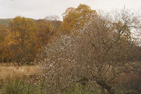 Pooley Bridge Ullswater Lake District in Autumn