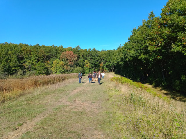 Mycology outing, Indre et Loire, France. Photo by Loire Valley Time Travel.