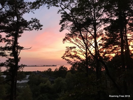 Sunset through the pines