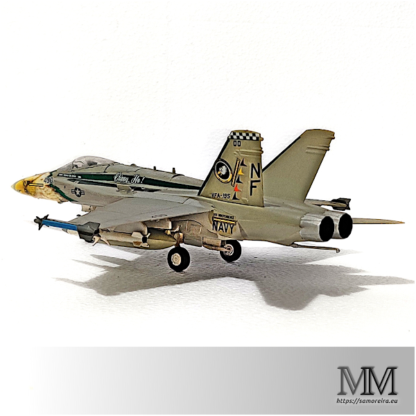 FA-18C Eagle Noseart