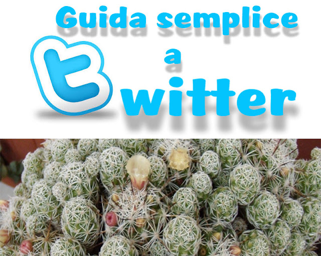 guida semplice all'utilizzo di twitter