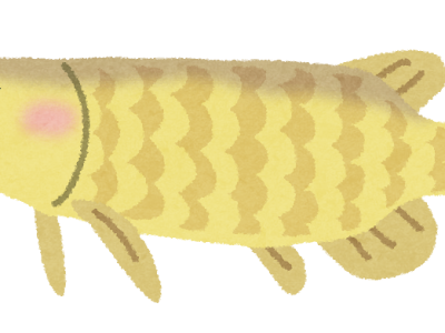 [最も共有された！ √] 海 生き物 イラストや 139282