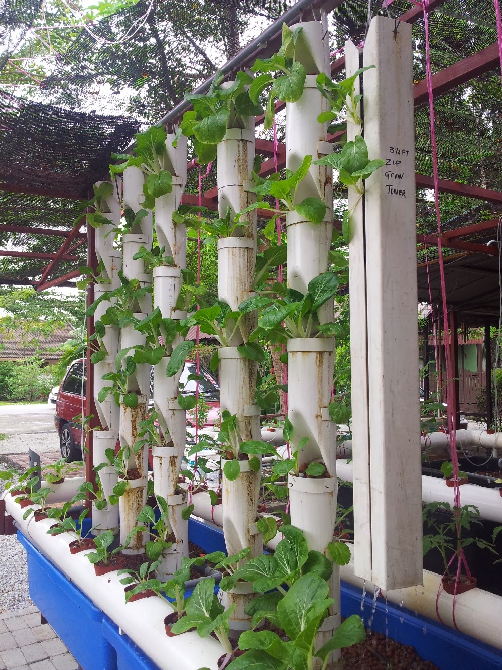 Affnan's Aquaponics