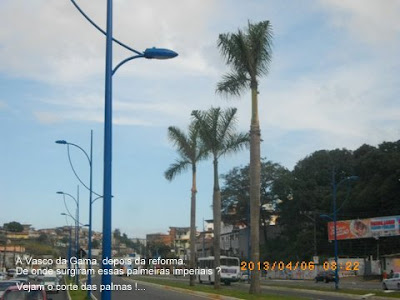 Avenida Vasco da Gama e as palmeiras imperiais