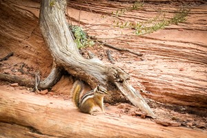 IMG_2800