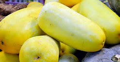 5 Manfaat dan khasiat buah timun suri untuk kesehatan