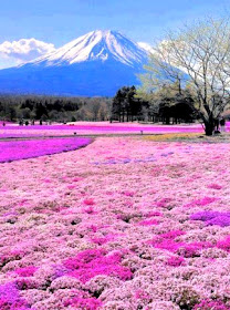 Mount Fuji 