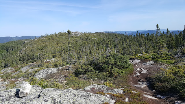 Vue à partir du sommet du mont des Morios