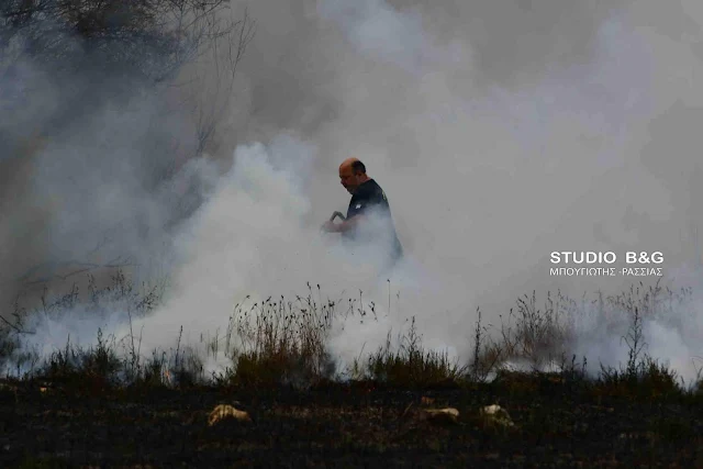 Πυρκαγιά στην παραλιακή οδό Ναυπλίου Νέας Κίου (βίντεο)