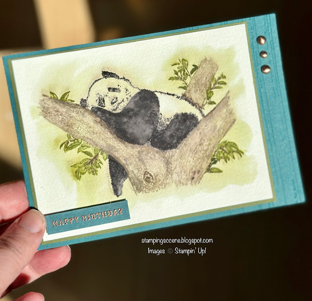 panda birthday card masculine card or for animal lovers