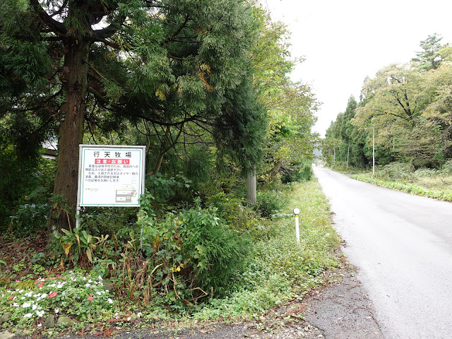 大山環状道路　香取のメインストリート