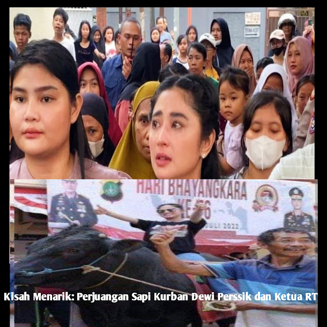 Kisah Menarik: Perjuangan Sapi Kurban Dewi Perssik dan Ketua RT