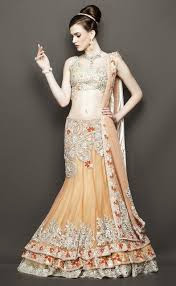 Bio Amazing.Indian Wedding Dressing/Bridal Sarees/Wedding Lehenga