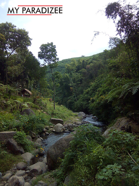 coban jahe