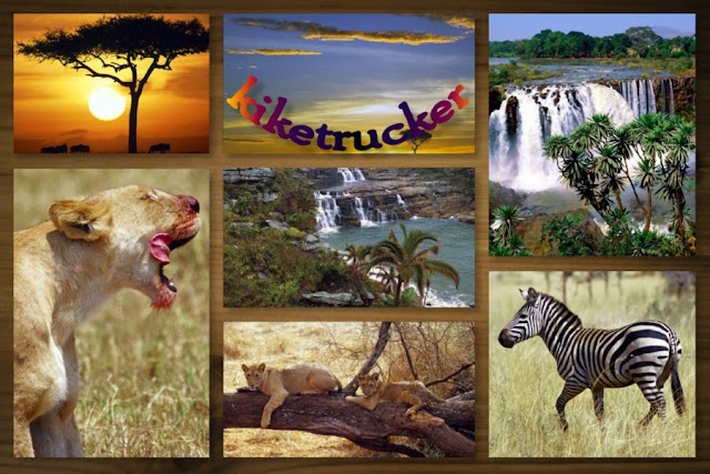 Wallpapers Africa Salvaje HQ 