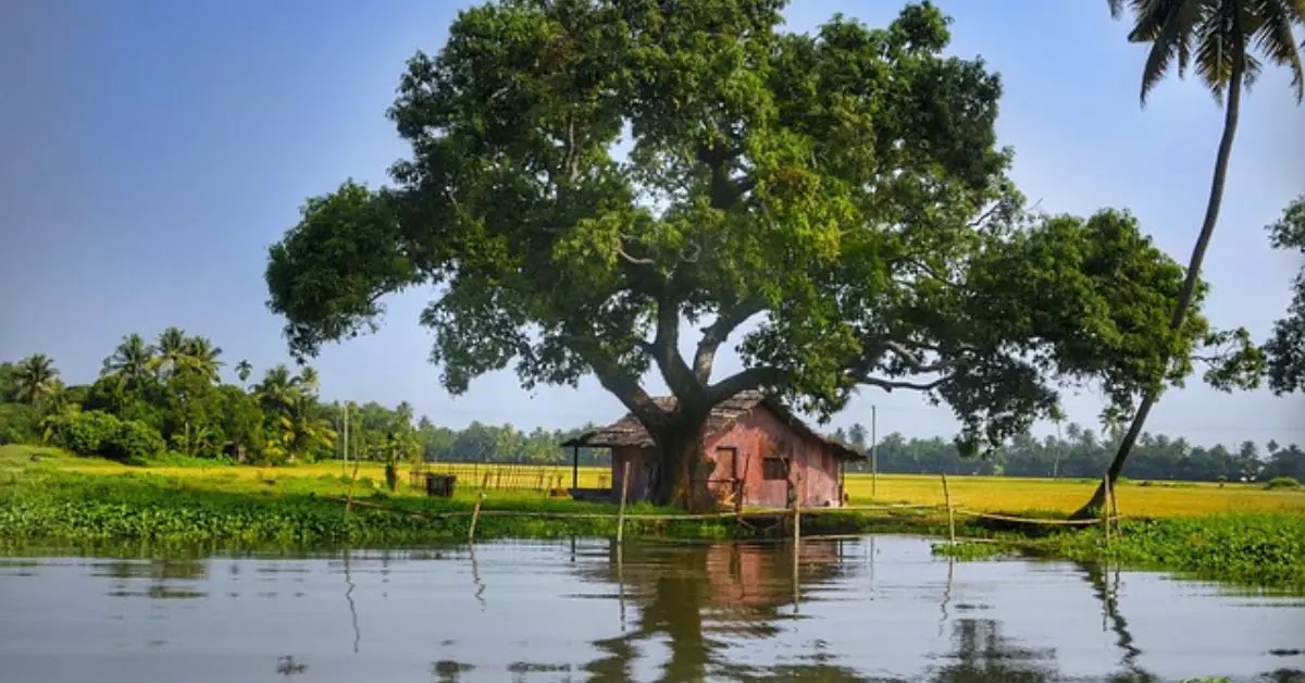 Kerala Alleppey