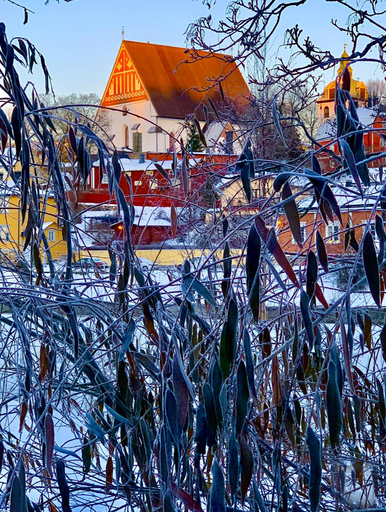A colorful old town behind the frozen willow
