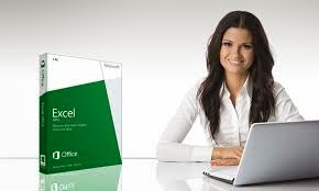 http://www.mgmtutorial.com/course/excel-consulting-services/