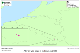 https://assets.publishing.service.gov.uk/government/uploads/system/uploads/attachment_data/file/744287/asf-belgium-update1.pdf