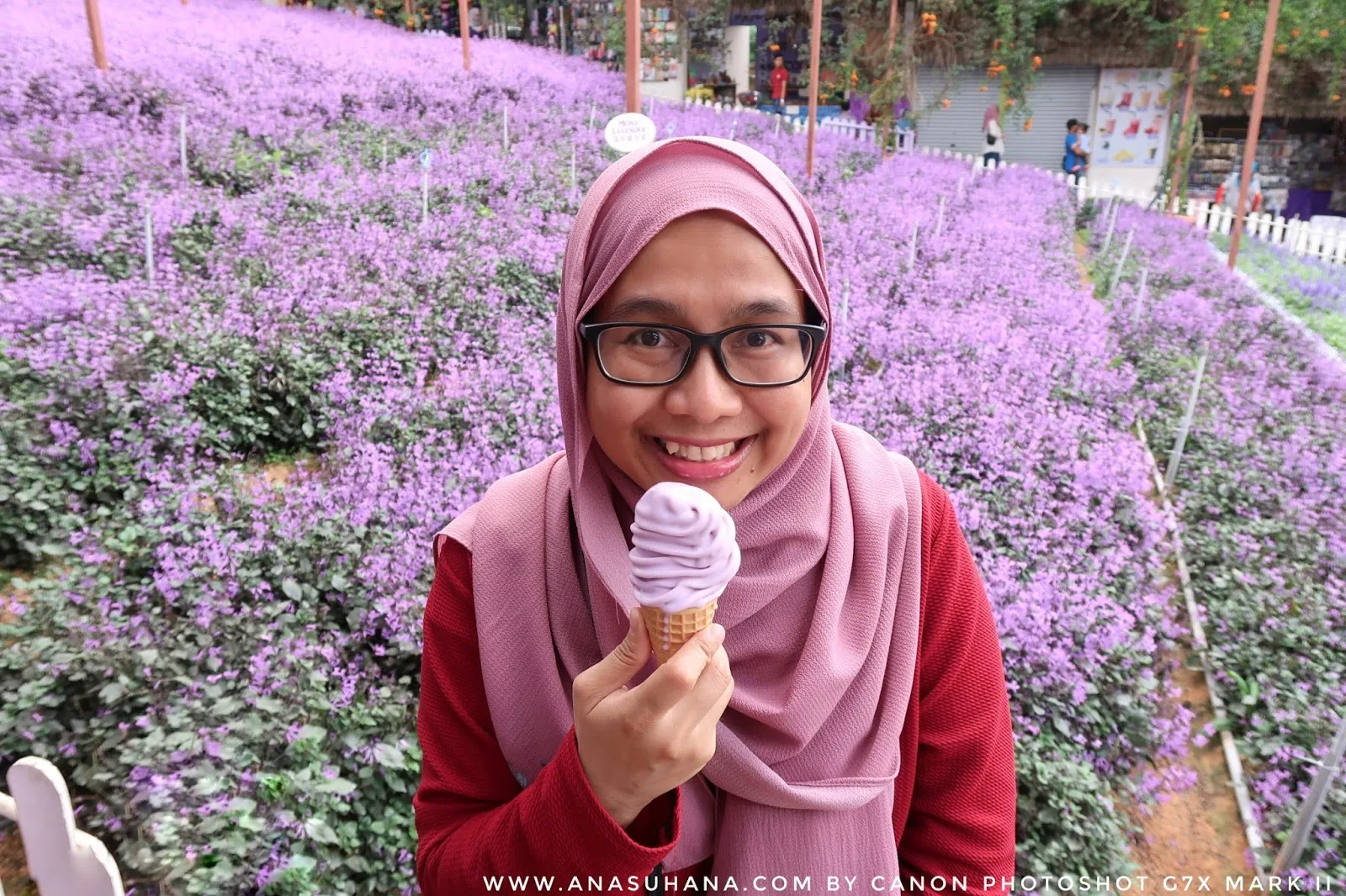 Tempat Menarik di Cameron Highlands : Cameron Lavender Garden