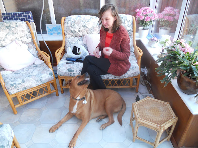 Anne feeding Sheba a treat.