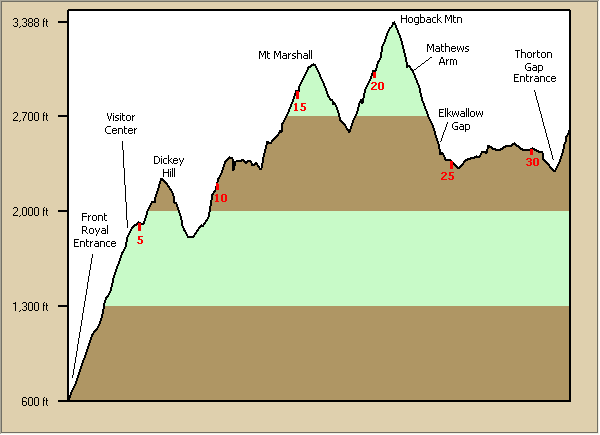 [Elevation+Skyline+North.png]